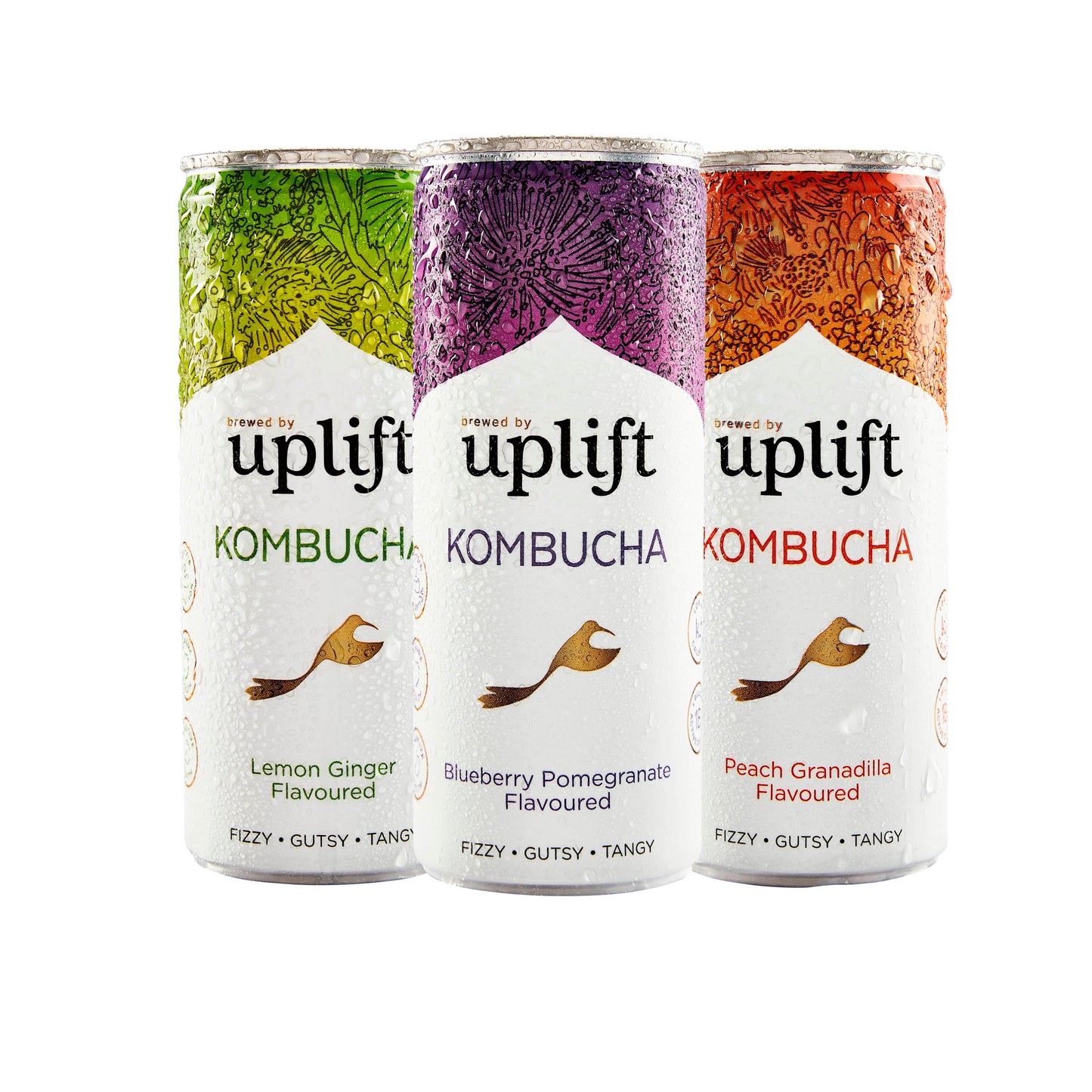 Variety Pack Kombucha 12x250ml